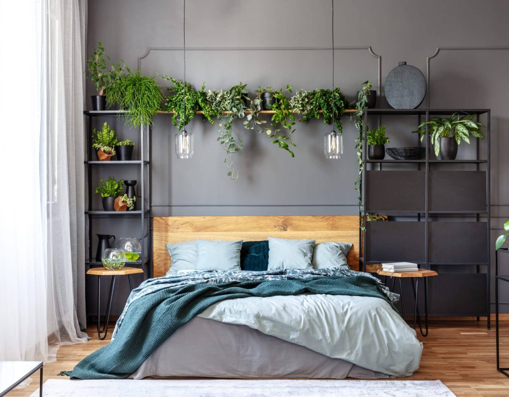 lamps-and-plants-above-grey-bed-with-green-blanket-9V64U5M-scaled.jpg